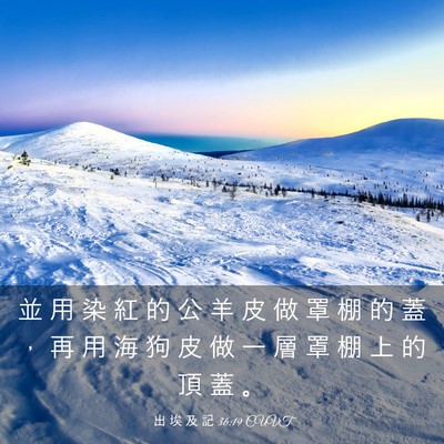 Picture 03 - 出 埃 及 記 36:19 CUVT - 並 用 染 紅 的 公 羊 皮 做 罩 棚 的 - Bible Verse Picture