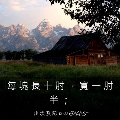 Picture 03 - 出 埃 及 記 36:21 CUVT - 每 塊 長 十 肘 ， 寬 一 肘 半 - Bible Verse Picture