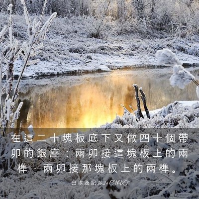 Picture 03 - 出 埃 及 記 36:24 CUVT - 在 這 二 十 塊 板 底 下 又 做 四 十 - Bible Verse Picture