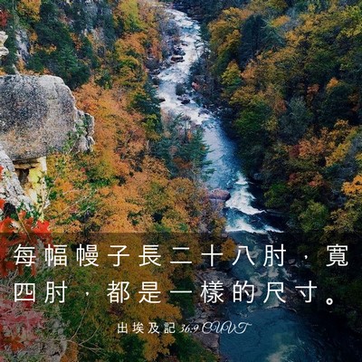 Picture 03 - 出 埃 及 記 36:9 CUVT - 每 幅 幔 子 長 二 十 八 肘 ， 寬 四 - Bible Verse Picture