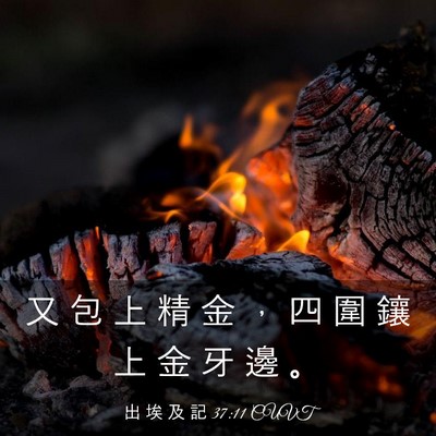 Picture 03 - 出 埃 及 記 37:11 CUVT - 又 包 上 精 金 ， 四 圍 鑲 上 金 牙 - Bible Verse Picture