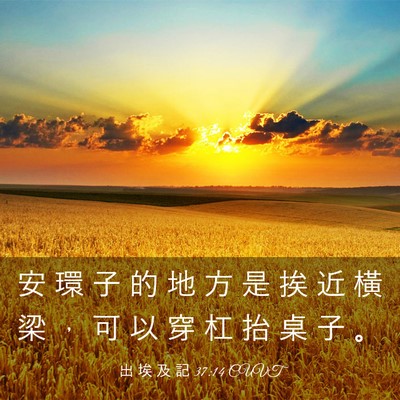 Picture 03 - 出 埃 及 記 37:14 CUVT - 安 環 子 的 地 方 是 挨 近 橫 梁 ， - Bible Verse Picture