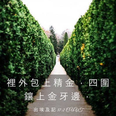 Picture 03 - 出 埃 及 記 37:2 CUVT - 裡 外 包 上 精 金 ， 四 圍 鑲 上 金 - Bible Verse Picture