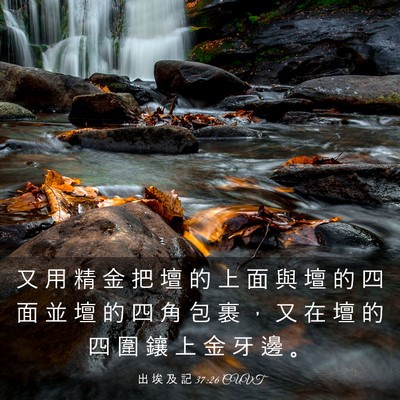 Picture 03 - 出 埃 及 記 37:26 CUVT - 又 用 精 金 把 壇 的 上 面 與 壇 的 - Bible Verse Picture