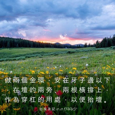 Picture 03 - 出 埃 及 記 37:27 CUVT - 做 兩 個 金 環 ， 安 在 牙 子 邊 以 - Bible Verse Picture