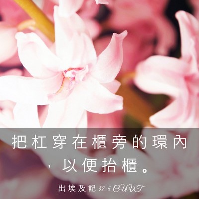 Picture 03 - 出 埃 及 記 37:5 CUVT - 把 杠 穿 在 櫃 旁 的 環 內 ， 以 便 - Bible Verse Picture