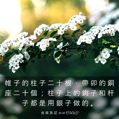 Picture 03 - 出 埃 及 記 38:10 CUVT - 帷 子 的 柱 子 二 十 根 ， 帶 卯 的 - Bible Verse Picture