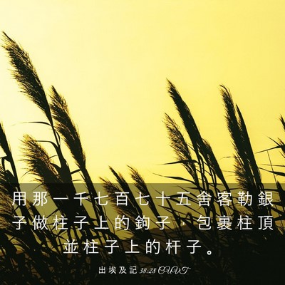 Picture 03 - 出 埃 及 記 38:28 CUVT - 用 那 一 千 七 百 七 十 五 舍 客 勒 - Bible Verse Picture