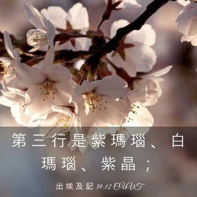 Picture 03 - 出 埃 及 記 39:12 CUVT - 第 三 行 是 紫 瑪 瑙 、 白 瑪 瑙 、 - Bible Verse Picture