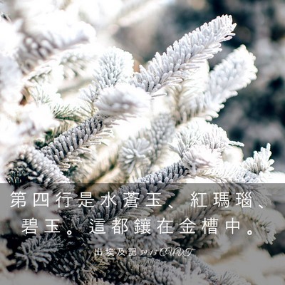 Picture 03 - 出 埃 及 記 39:13 CUVT - 第 四 行 是 水 蒼 玉 、 紅 瑪 瑙 、 - Bible Verse Picture