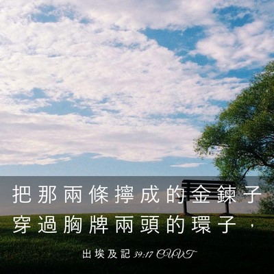 Picture 03 - 出 埃 及 記 39:17 CUVT - 把 那 兩 條 擰 成 的 金 鍊 子 穿 過 - Bible Verse Picture