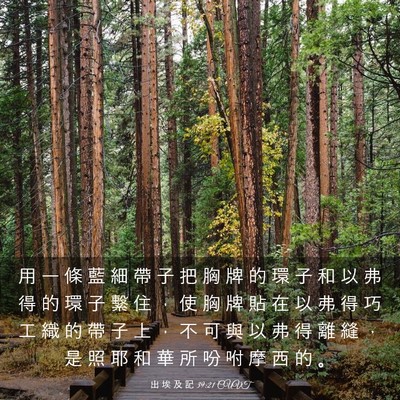 Picture 03 - 出 埃 及 記 39:21 CUVT - 用 一 條 藍 細 帶 子 把 胸 牌 的 環 - Bible Verse Picture
