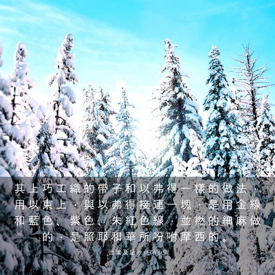 Picture 03 - 出 埃 及 記 39:5 CUVT - 其 上 巧 工 織 的 帶 子 和 以 弗 得 - Bible Verse Picture