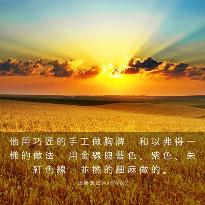 Picture 03 - 出 埃 及 記 39:8 CUVT - 他 用 巧 匠 的 手 工 做 胸 牌 ， 和 - Bible Verse Picture