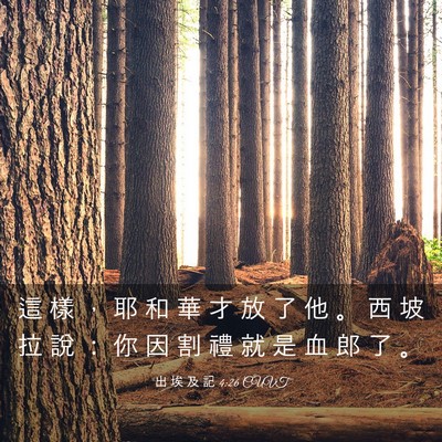 Picture 03 - 出 埃 及 記 4:26 CUVT - 這 樣 ， 耶 和 華 才 放 了 他 。 西 - Bible Verse Picture