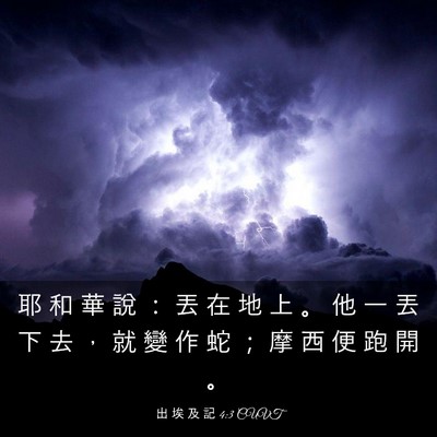 Picture 03 - 出 埃 及 記 4:3 CUVT - 耶 和 華 說 ： 丟 在 地 上 。 他 一 - Bible Verse Picture