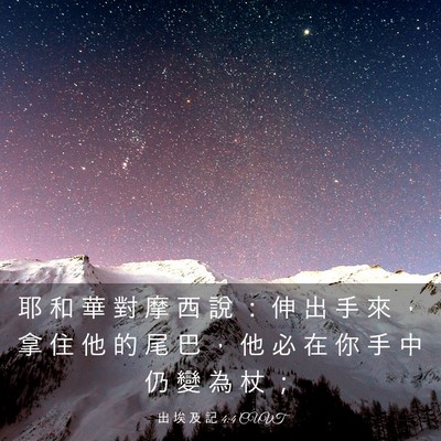 Picture 03 - 出 埃 及 記 4:4 CUVT - 耶 和 華 對 摩 西 說 ： 伸 出 手 來 - Bible Verse Picture