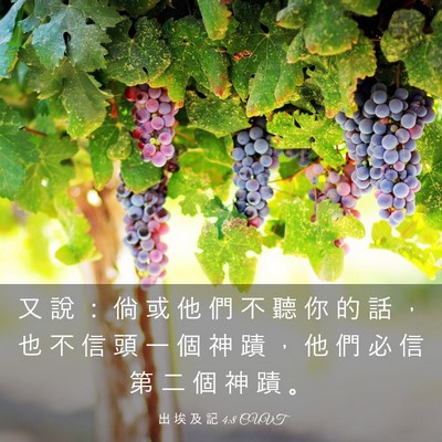 Picture 03 - 出 埃 及 記 4:8 CUVT - 又 說 ： 倘 或 他 們 不 聽 你 的 話 - Bible Verse Picture