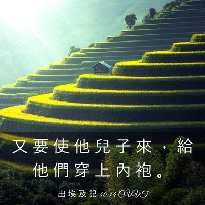 Picture 03 - 出 埃 及 記 40:14 CUVT - 又 要 使 他 兒 子 來 ， 給 他 們 穿 - Bible Verse Picture
