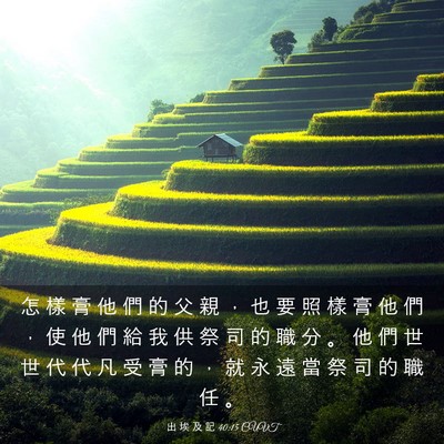 Picture 03 - 出 埃 及 記 40:15 CUVT - 怎 樣 膏 他 們 的 父 親 ， 也 要 照 - Bible Verse Picture