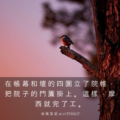 Picture 03 - 出 埃 及 記 40:33 CUVT - 在 帳 幕 和 壇 的 四 圍 立 了 院 帷 - Bible Verse Picture