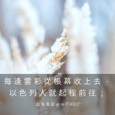 Picture 03 - 出 埃 及 記 40:36 CUVT - 每 逢 雲 彩 從 帳 幕 收 上 去 ， 以 - Bible Verse Picture