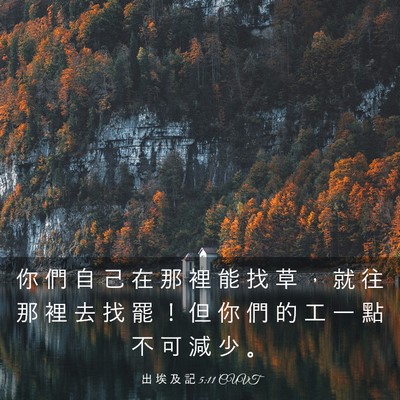 Picture 03 - 出 埃 及 記 5:11 CUVT - 你 們 自 己 在 那 裡 能 找 草 ， 就 - Bible Verse Picture