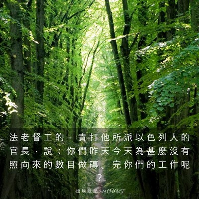 Picture 03 - 出 埃 及 記 5:14 CUVT - 法 老 督 工 的 ， 責 打 他 所 派 以 - Bible Verse Picture