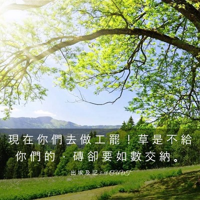 Picture 03 - 出 埃 及 記 5:18 CUVT - 現 在 你 們 去 做 工 罷 ！ 草 是 不 - Bible Verse Picture