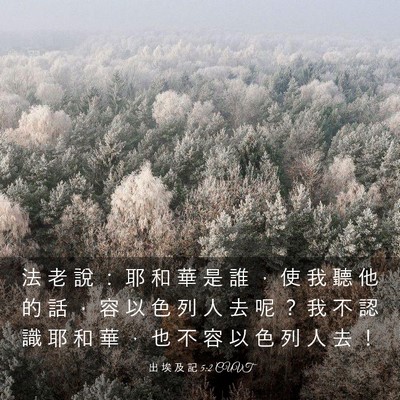 Picture 03 - 出 埃 及 記 5:2 CUVT - 法 老 說 ： 耶 和 華 是 誰 ， 使 我 - Bible Verse Picture