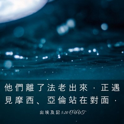 Picture 03 - 出 埃 及 記 5:20 CUVT - 他 們 離 了 法 老 出 來 ， 正 遇 見 - Bible Verse Picture