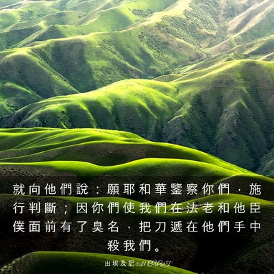 Picture 03 - 出 埃 及 記 5:21 CUVT - 就 向 他 們 說 ： 願 耶 和 華 鑒 察 - Bible Verse Picture