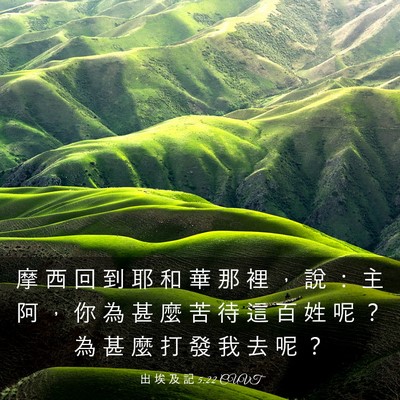 Picture 03 - 出 埃 及 記 5:22 CUVT - 摩 西 回 到 耶 和 華 那 裡 ， 說 ： - Bible Verse Picture