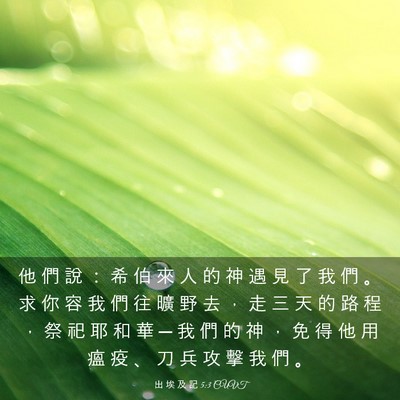 Picture 03 - 出 埃 及 記 5:3 CUVT - 他 們 說 ： 希 伯 來 人 的 神 遇 見 - Bible Verse Picture