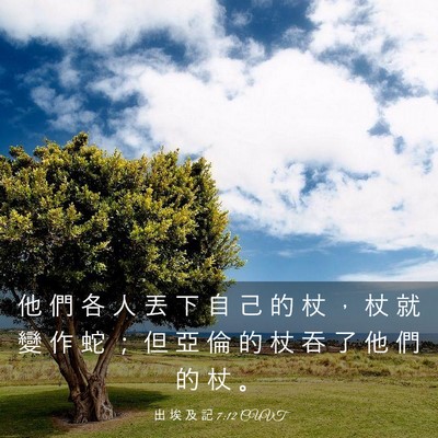 Picture 03 - 出 埃 及 記 7:12 CUVT - 他 們 各 人 丟 下 自 己 的 杖 ， 杖 - Bible Verse Picture
