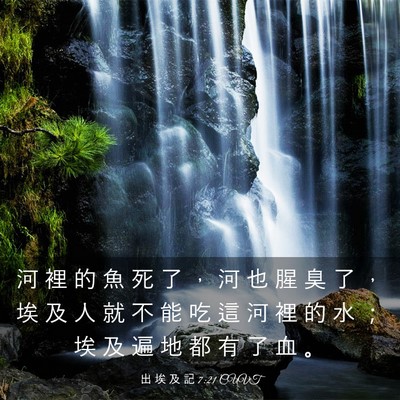 Picture 03 - 出 埃 及 記 7:21 CUVT - 河 裡 的 魚 死 了 ， 河 也 腥 臭 了 - Bible Verse Picture