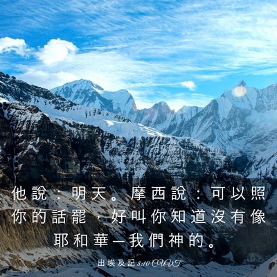 Picture 03 - 出 埃 及 記 8:10 CUVT - 他 說 ： 明 天 。 摩 西 說 ： 可 以 - Bible Verse Picture