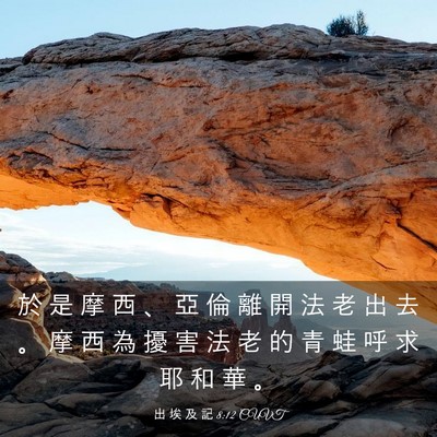 Picture 03 - 出 埃 及 記 8:12 CUVT - 於 是 摩 西 、 亞 倫 離 開 法 老 出 - Bible Verse Picture