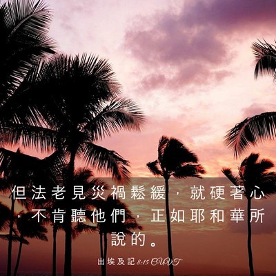 Picture 03 - 出 埃 及 記 8:15 CUVT - 但 法 老 見 災 禍 鬆 緩 ， 就 硬 著 - Bible Verse Picture