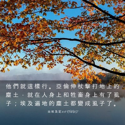Picture 03 - 出 埃 及 記 8:17 CUVT - 他 們 就 這 樣 行 。 亞 倫 伸 杖 擊 - Bible Verse Picture