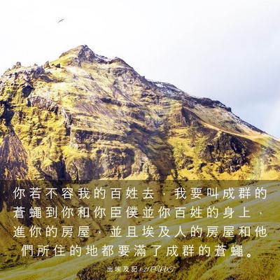 Picture 03 - 出 埃 及 記 8:21 CUVT - 你 若 不 容 我 的 百 姓 去 ， 我 要 - Bible Verse Picture