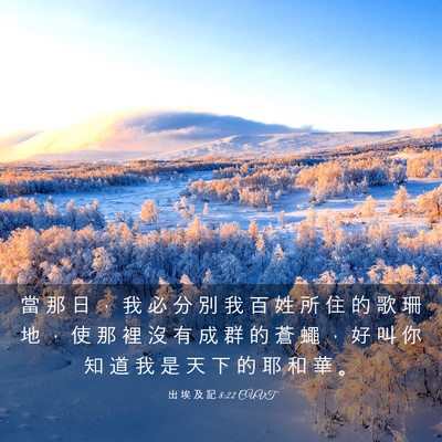 Picture 03 - 出 埃 及 記 8:22 CUVT - 當 那 日 ， 我 必 分 別 我 百 姓 所 - Bible Verse Picture