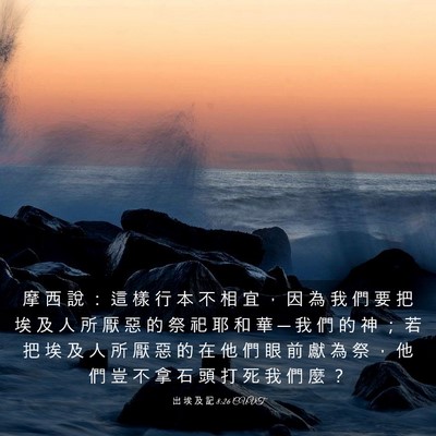 Picture 03 - 出 埃 及 記 8:26 CUVT - 摩 西 說 ： 這 樣 行 本 不 相 宜 ， - Bible Verse Picture