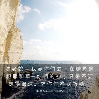 Picture 03 - 出 埃 及 記 8:28 CUVT - 法 老 說 ： 我 容 你 們 去 ， 在 曠 - Bible Verse Picture