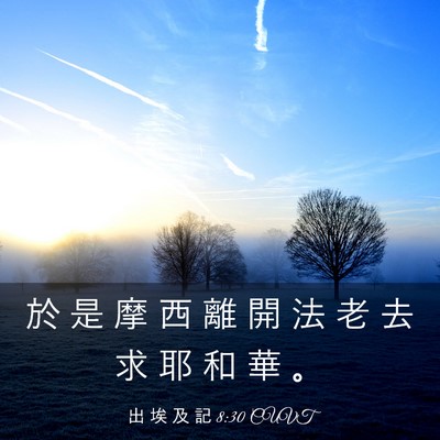 Picture 03 - 出 埃 及 記 8:30 CUVT - 於 是 摩 西 離 開 法 老 去 求 耶 和 - Bible Verse Picture