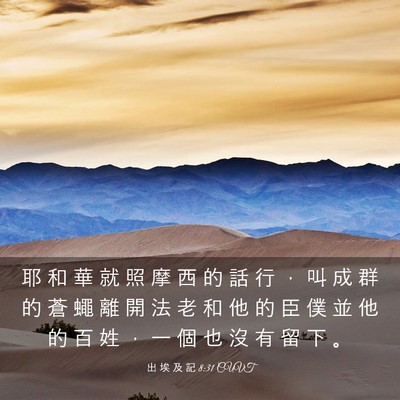 Picture 03 - 出 埃 及 記 8:31 CUVT - 耶 和 華 就 照 摩 西 的 話 行 ， 叫 - Bible Verse Picture