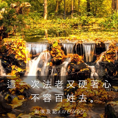 Picture 03 - 出 埃 及 記 8:32 CUVT - 這 一 次 法 老 又 硬 著 心 ， 不 容 - Bible Verse Picture