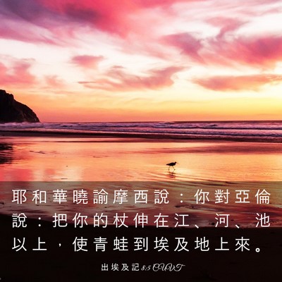 Picture 03 - 出 埃 及 記 8:5 CUVT - 耶 和 華 曉 諭 摩 西 說 ： 你 對 亞 - Bible Verse Picture