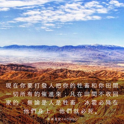 Picture 03 - 出 埃 及 記 9:19 CUVT - 現 在 你 要 打 發 人 把 你 的 牲 畜 - Bible Verse Picture