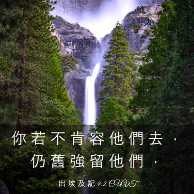 Picture 03 - 出 埃 及 記 9:2 CUVT - 你 若 不 肯 容 他 們 去 ， 仍 舊 強 - Bible Verse Picture